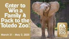 Enter to Win a Family 4-Pack to the Toledo Zoo!