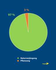 Dieser Alternativtext wurde KI-generiert: Kreisdiagramm zeigt einen großen überwiegenden Teil in hellgrün und einen kleineren Teil in orange. Das Diagramm stellt eine Aufteilung von Prozentsätzen dar, mit 97% für einen Bereich und 3% für einen anderen.