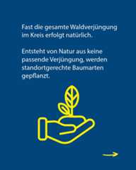 Dieser Alternativtext wurde KI-generiert: Ein blauer Hintergrund zeigt Text und eine stilisierte Grafik. Die Grafik zeigt eine Hand, die einen kleinen Baumtrieb hält, darunter ein Pfeil, der nach rechts zeigt.