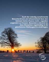 Dieser Alternativtext wurde KI-generiert: Ein Baum mit kahlen Ästen steht vor einem See im Sonnenuntergang. Im Hintergrund sind Personen und Vögel zu sehen.
