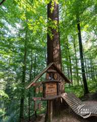 Dieser Alternativtext wurde KI-generiert: Ein Waldweg führt an einem kleinen, verzierten Holzhaus vorbei. Das Haus ist mit Schildern und Dekorationen geschmückt und befindet sich inmitten grüner Bäume und Vegetation.