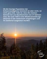 Dieser Alternativtext wurde KI-generiert: Ein Sonnenaufgang über einer Landschaft mit Bäumen und Bergen. Der Himmel ist in verschiedenen Blautönen gehalten und die Sonne scheint hell zwischen den Bäumen hindurch.