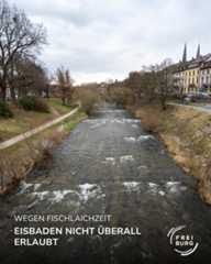 Dieser Alternativtext wurde KI-generiert: Ein Fluss fließt unter einer Brücke durch. Im Hintergrund sind Gebäude und Bäume zu sehen, das Bild ist farbig.