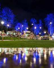 Dieser Alternativtext wurde KI-generiert: Nachtaufnahme einer parkähnlichen Fläche mit beleuchteten Bäumen und einem Weihnachtsmarkt im Hintergrund. Im Vordergrund spiegelt sich das Licht in einer feuchten Oberfläche wider.