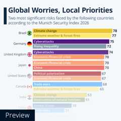 Global Worries, Local Priorities - Infographic