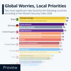 Infographic - Global Worries, Local Priorities