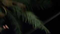 جنگنده‌های ناشناس دوباره در آسمان میسان عراق