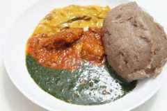 COVID-19: Kwara Govt debunks claims of amala as cure