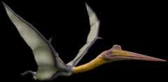 Quetzalcoatlus