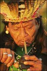 Guarani Mate Drinker