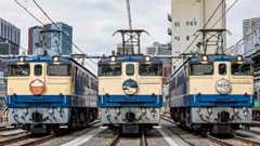 特集 EF65PF ブルートレインけん引の記録