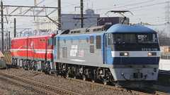 EH800-15が甲種輸送される