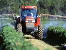 Photo of red tractor spraying crops with pesticide or insecticide.
