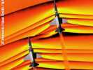 Orange Schlieren photograph of two supersonic jets flying upward