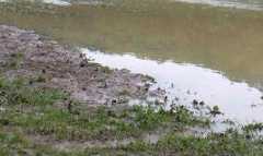 Бедствено положение в Тутраканско