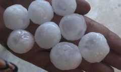 Градушка като орех помля села във Варненско | ФАКТИ.БГ Градушка като орех помля села във Варненско