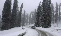 Сибирски студ: - 25,2 градуса в Трън