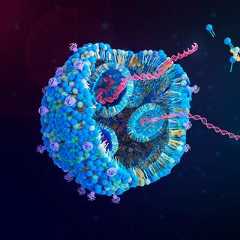 Ces nanoparticules servent de base à un vaccin expérimental capable de stimuler le système immunitaire contre les cancers agressifs. L’étude menée par l’Université du Massachusetts a montré une protection jusqu’à 88 % contre certaines tumeurs dans les modèles testés. © TuMeggy, Adobe Stock