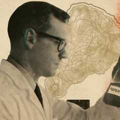 Le peuple Rapa Nui est pratiquement absent de l’histoire de la découverte de la rapamycine telle qu’elle est généralement racontée. ©&nbsp;✶ Imaginé par XD | Codé avec ChatGPT