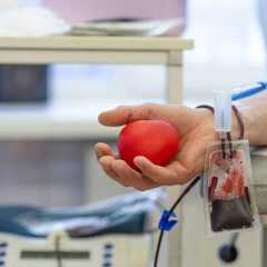 Le don de moelle osseuse est&nbsp;méconnu, pourtant il sauve des milliers de vies… mais les donneurs manquent cruellement à l'appel. © ElenaYakimova, Shutterstock.com