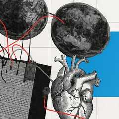 Des shiitakes pourraient remplacer des composants électroniques dans les ordinateurs de demain. © Photomontage : XD avec ChatGPT