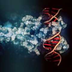 Les facteurs de transcriptions c-Myc et Max associés à l’ADN. © molekuul.be, Fotolia