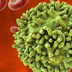 L'ipilimumab est un inhibiteur de l'antigène CTLA-4, lui-même exprimé sur des lymphocytes T. Les lymphocytes T (représentés sur l'image) sont des cellules immunitaires qui peuvent éliminer des cellules cancéreuses. © Kateryna Kon, Shutterstock