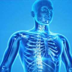 Les tumeurs osseuses représentent moins de 1 % du nombre total de cancers. © Pixabay