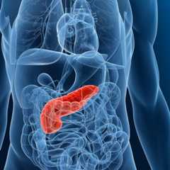 Le cancer du pancréas touche le pancréas, un organe situé derrière l’estomac qui produit des enzymes digestives et des hormones (insuline). © Sebastian Kaulitzki, Shutterstock