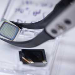 Une puce utilisée pour créer un transneurone. © Université de Loughborough