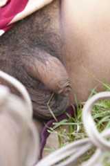 Angellynne Hart pornstar nude image