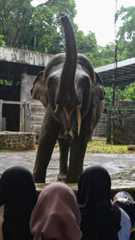 FOTO: Suasana Taman Margasatwa Ragunan Dibanjiri Puluhan Ribu Pengunjung di Hari Kedua Lebaran