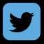 Share on Twitter