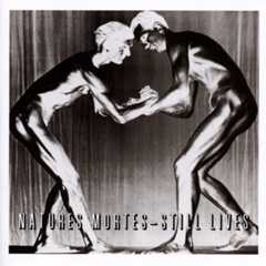 Various Natures Mortes - Still Lives