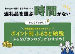 便利なポイント制ふるさと納税「ふるなびカタログ」