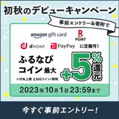 初めての寄附で最大+5%分還元！2023初秋のデビューキャンペーン　事前エントリー＆寄附でふるなびコインがもらえる！