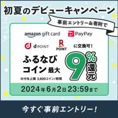 初めての寄附で最大9%分還元！2024初夏のふるなびデビューキャンペーン　事前エントリー＆寄附でふるなびコインがもらえる！