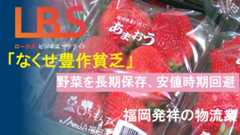 「なくせ豊作貧乏」野菜を長期保存、安値時期回避　福岡発祥の物流業