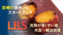 宮崎の焼きいもスタートアップ、完熟が導く甘い蜜　米国へ輸出加速