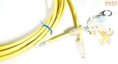 パンドゥイット製のCAT6A（UTP）ケーブル