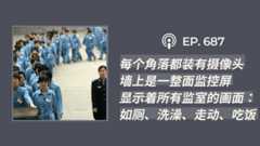 【CDT关注】“每个角落都装有摄像头，墙上是一整面监控屏，显示着所有监室的画面：如厕、洗澡、走动、吃饭”（外二篇）
