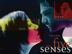 The Five Senses
