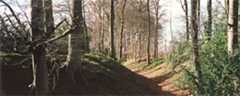 fort-land