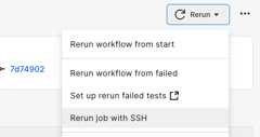 Rerun a job with SSH to directly access the build environment.
