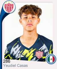 Yeudiel Alejandro Casas