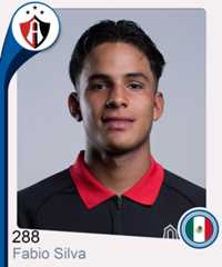 Fabio Alexander Silva