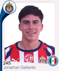 Jonathan Asael Gallardo