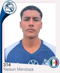 Nelson Sadot Mendoza