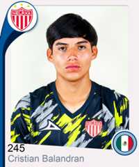 Cristian Gael Balandran