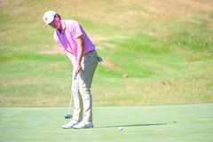 Tigers Open Spring Slate in California